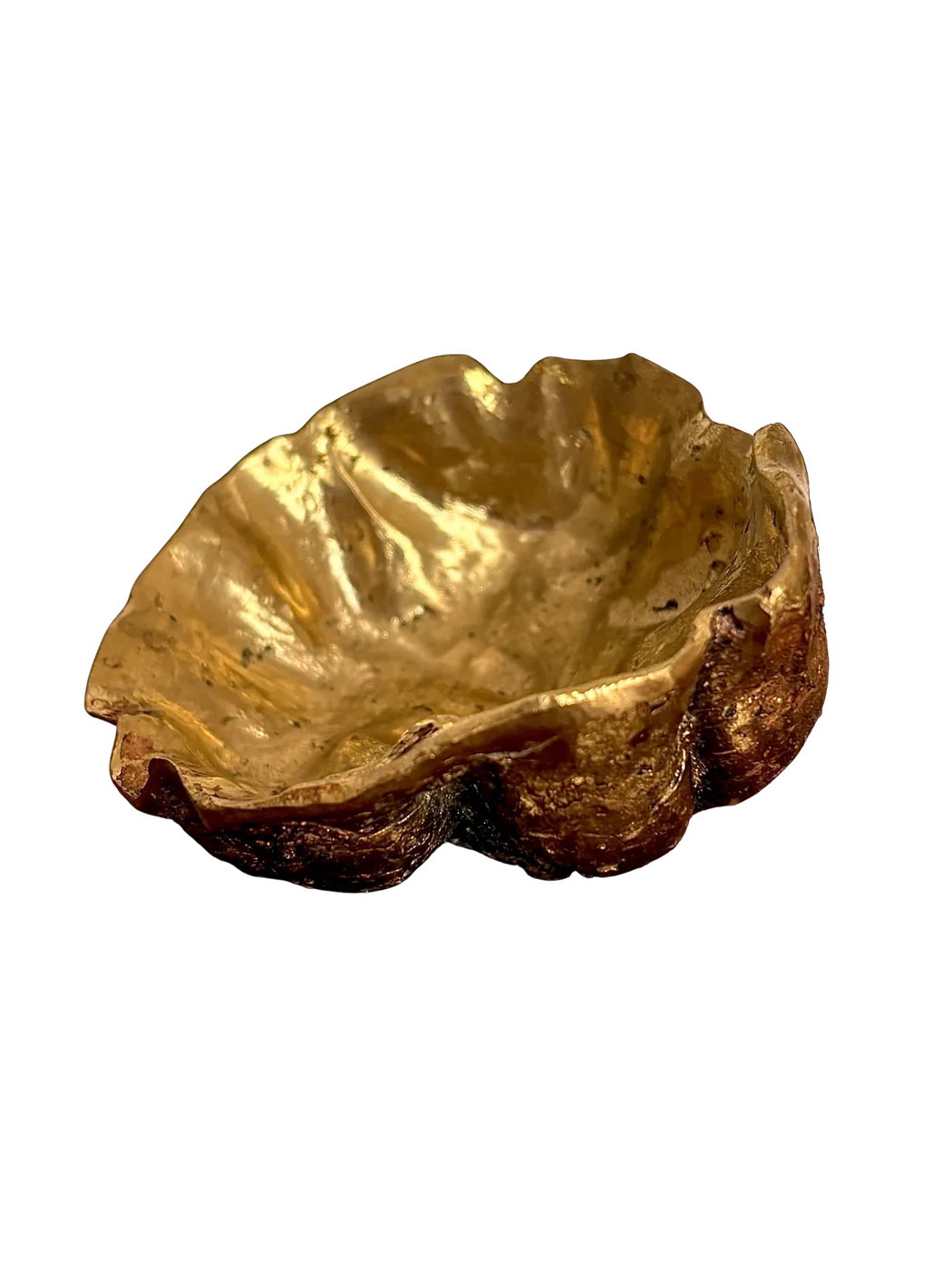 Gilded bronze cast of a shell