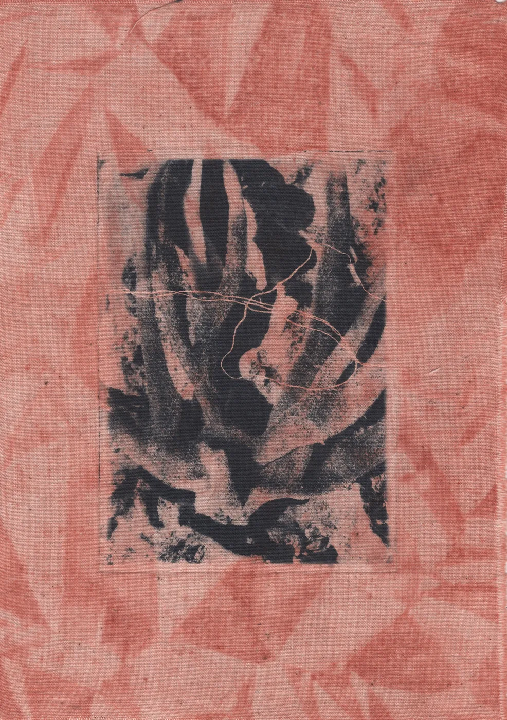 Print on red textile with dark botanical forms