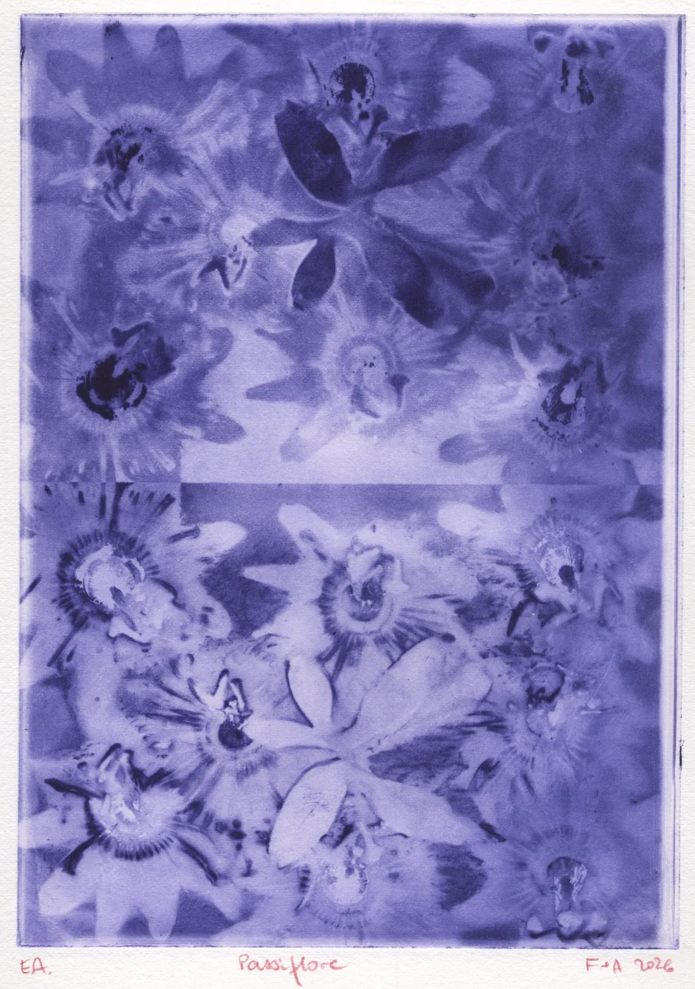 Violet print of passionflowers