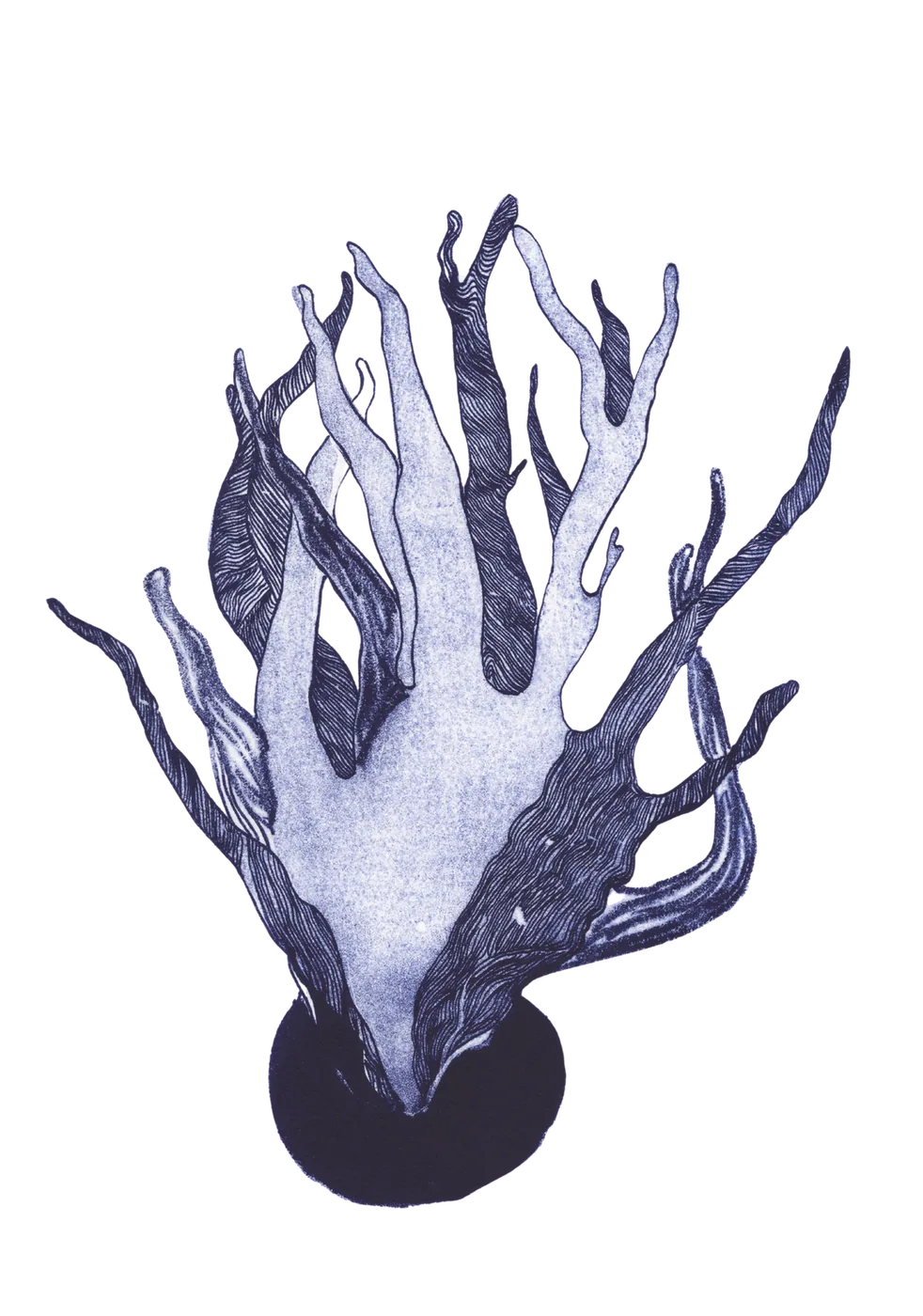 Print of a sea sponge