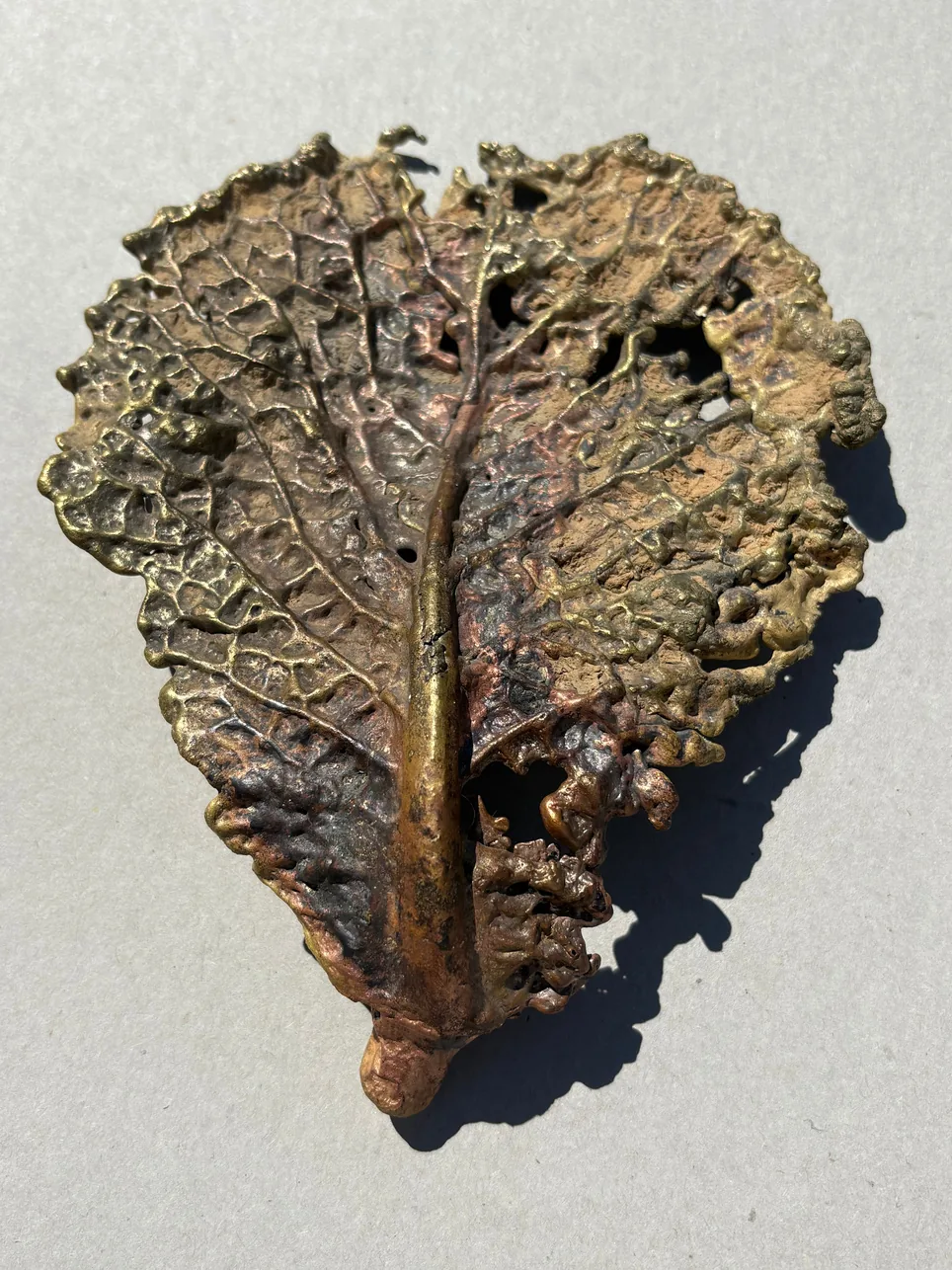 Bronze cast of a leaf