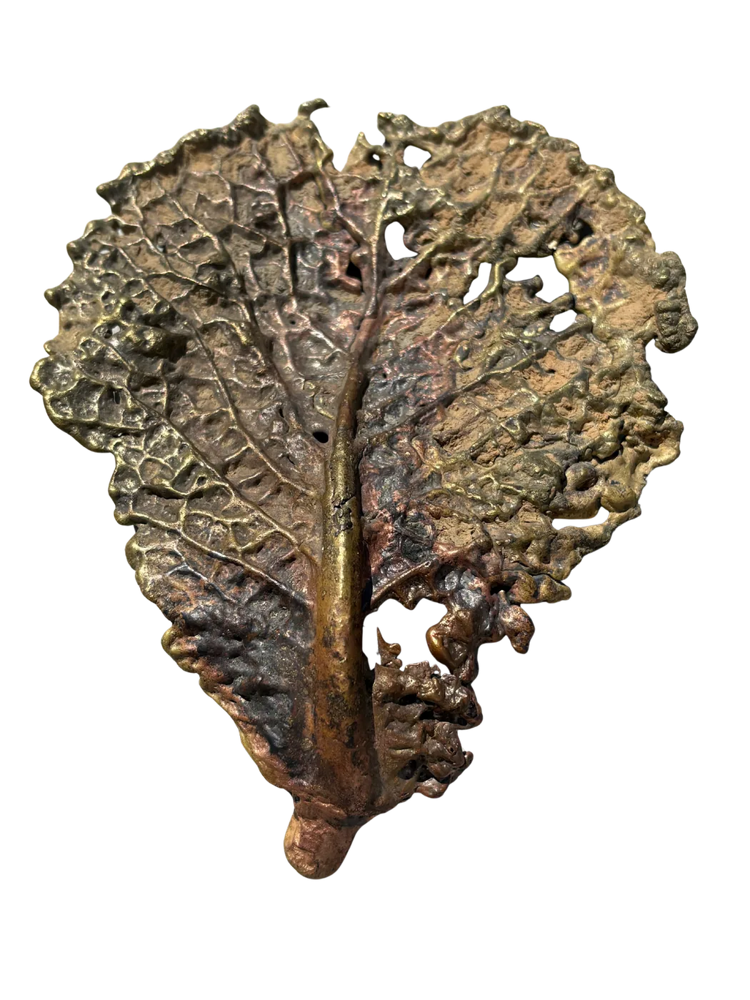 Bronze cast of an oyster