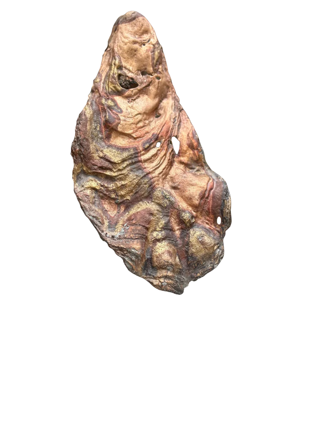 Bronze cast of a leaf